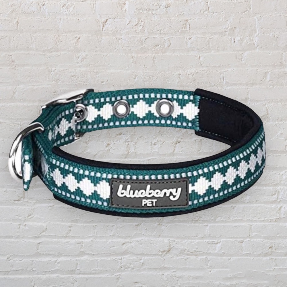 Small Blueberry Pet Teal Dog Collar